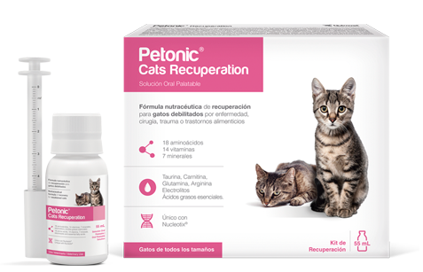 Petonic Cats Recuperation 55 mL Gatos TEMPORALMENTE AGOTADO